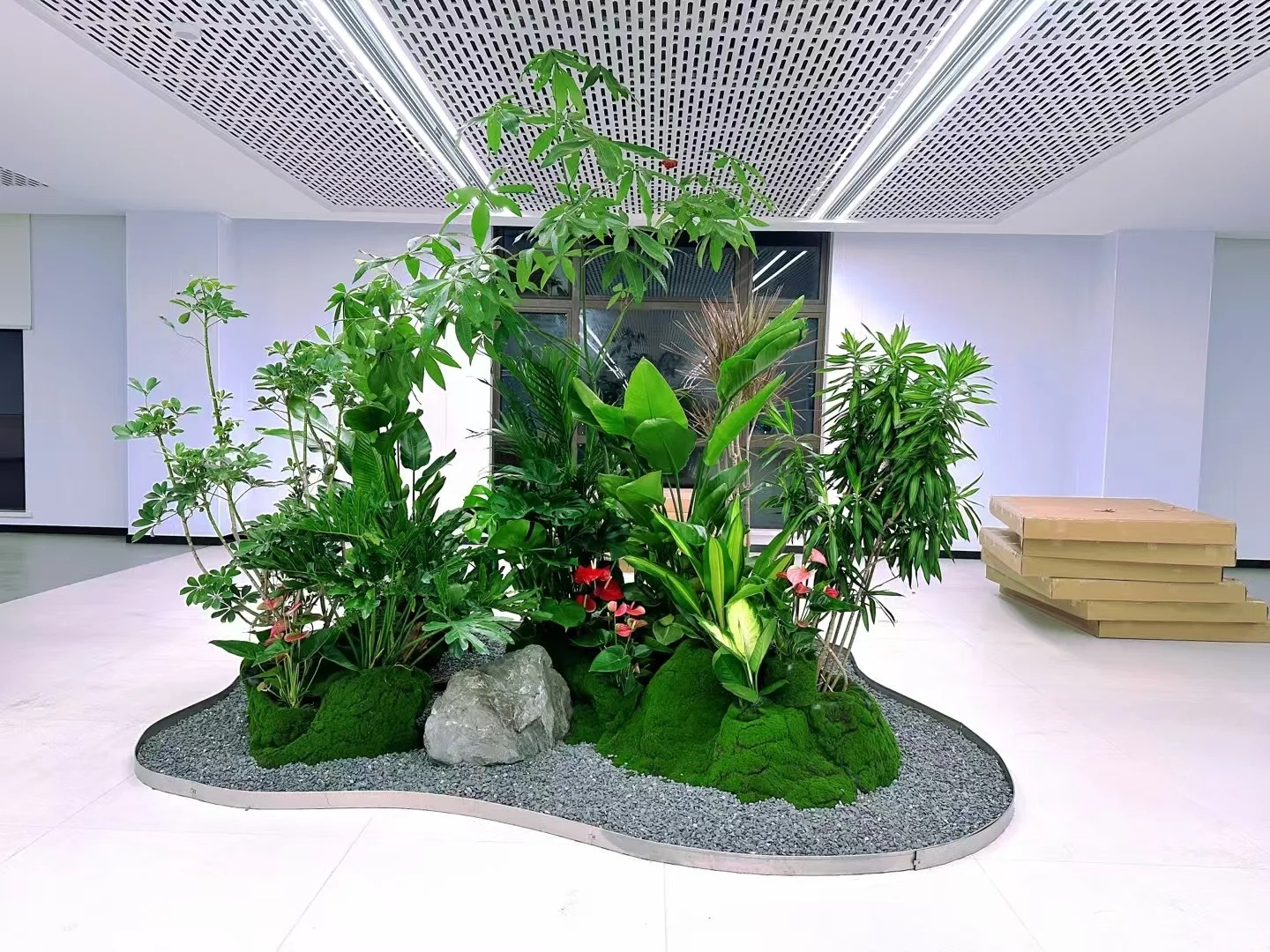 了解宁波鄞州花卉租赁方案,畅享花卉租赁新体验